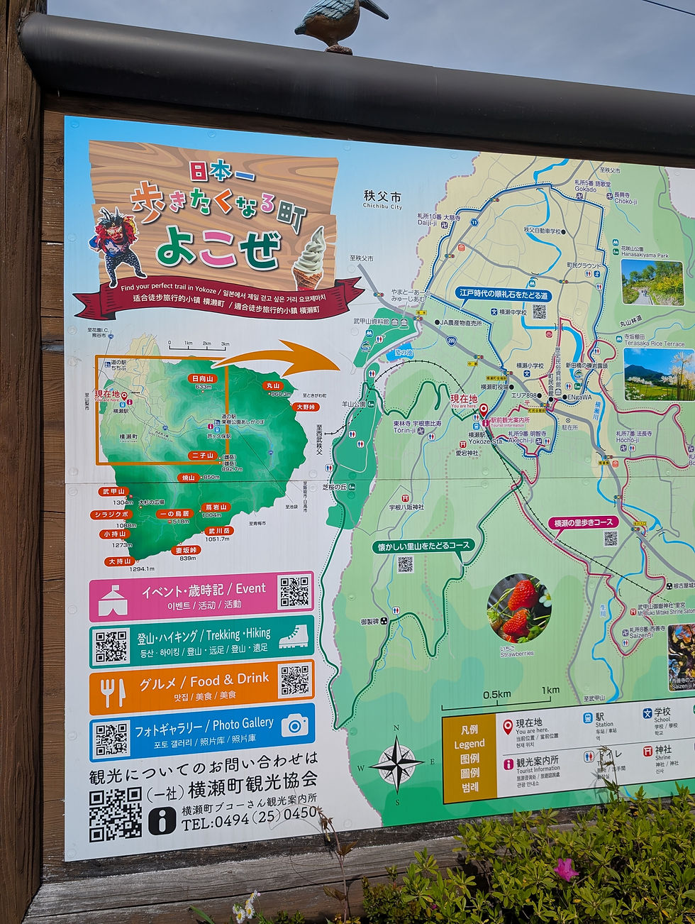 西武線横瀬駅から徒歩20分→芝桜の丘→見晴らしの丘(ミュージアム)→西武秩父駅のルート