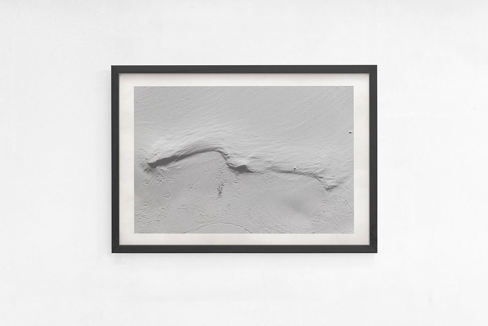 Thumbnail: PRINTS I