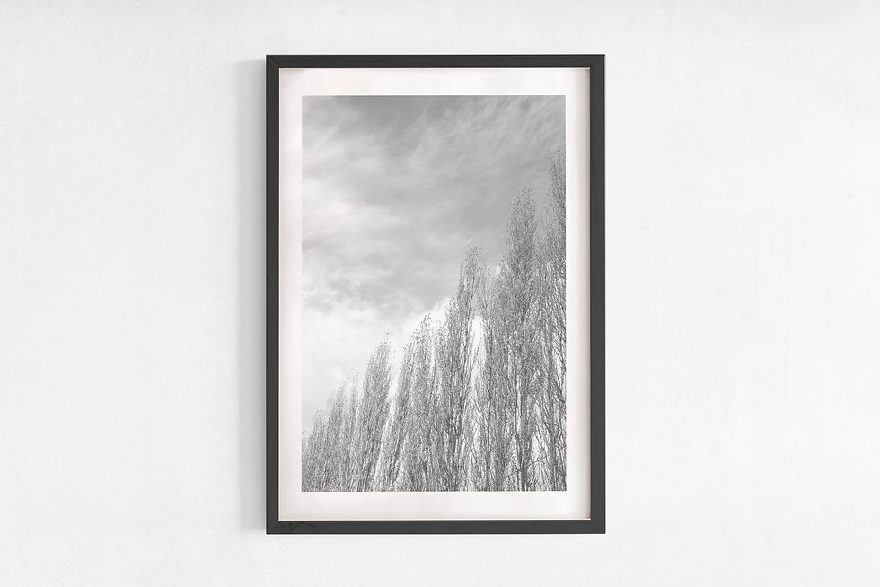 Thumbnail: PATAGONIA AUTUMN B&W