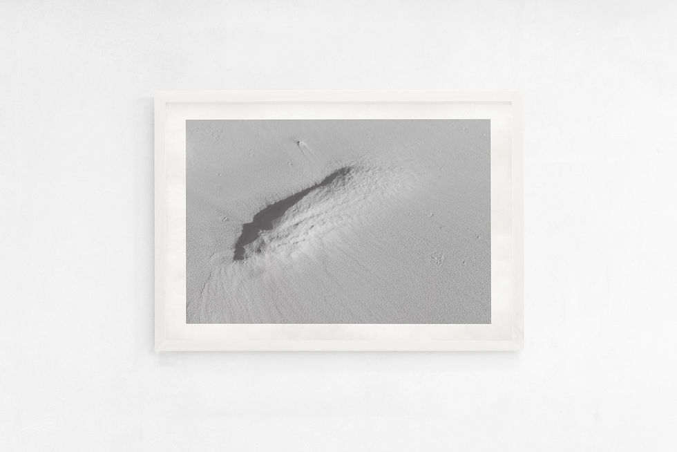 Thumbnail: PRINTS II