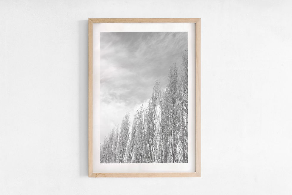 Thumbnail: PATAGONIA AUTUMN B&W