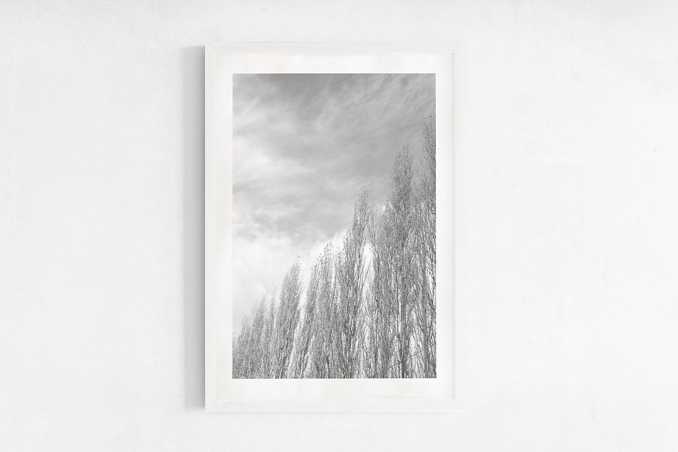 Thumbnail: PATAGONIA AUTUMN B&W