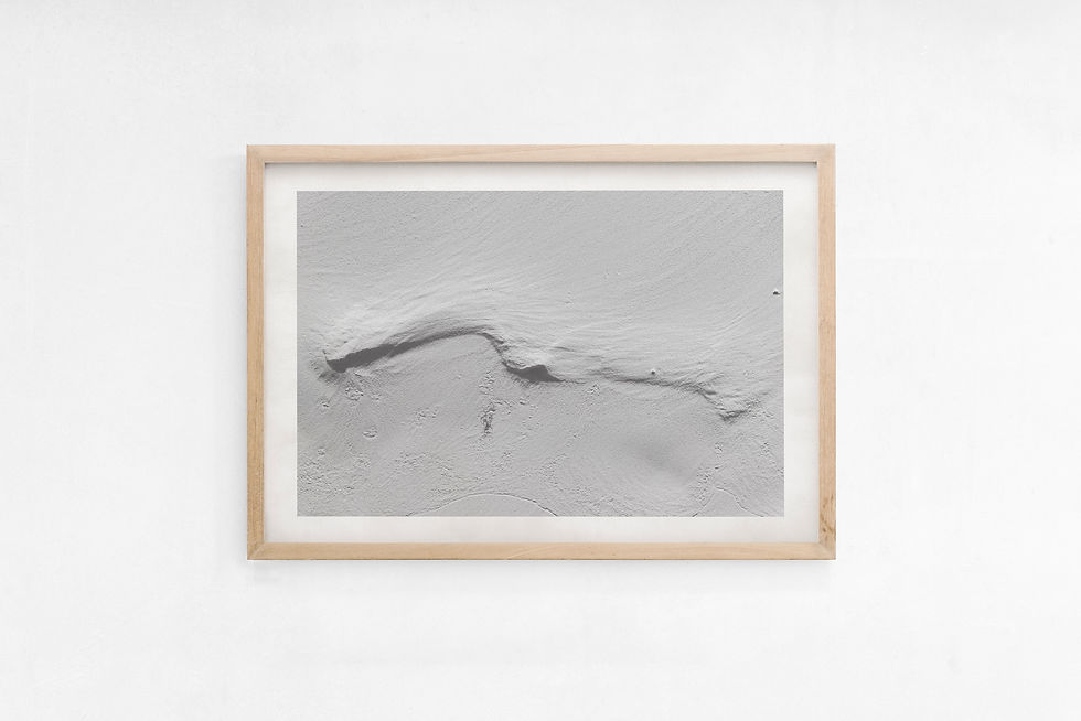 Thumbnail: PRINTS I