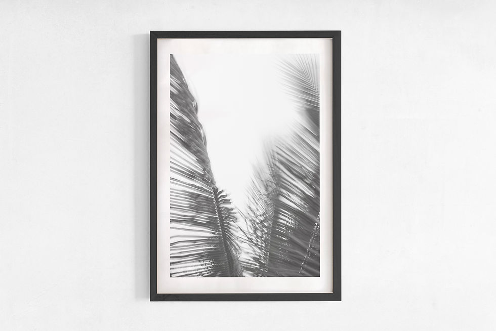 Thumbnail: DANCING PALMS II