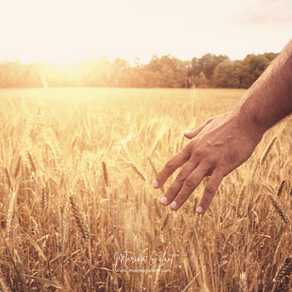 "La vie est un écho"