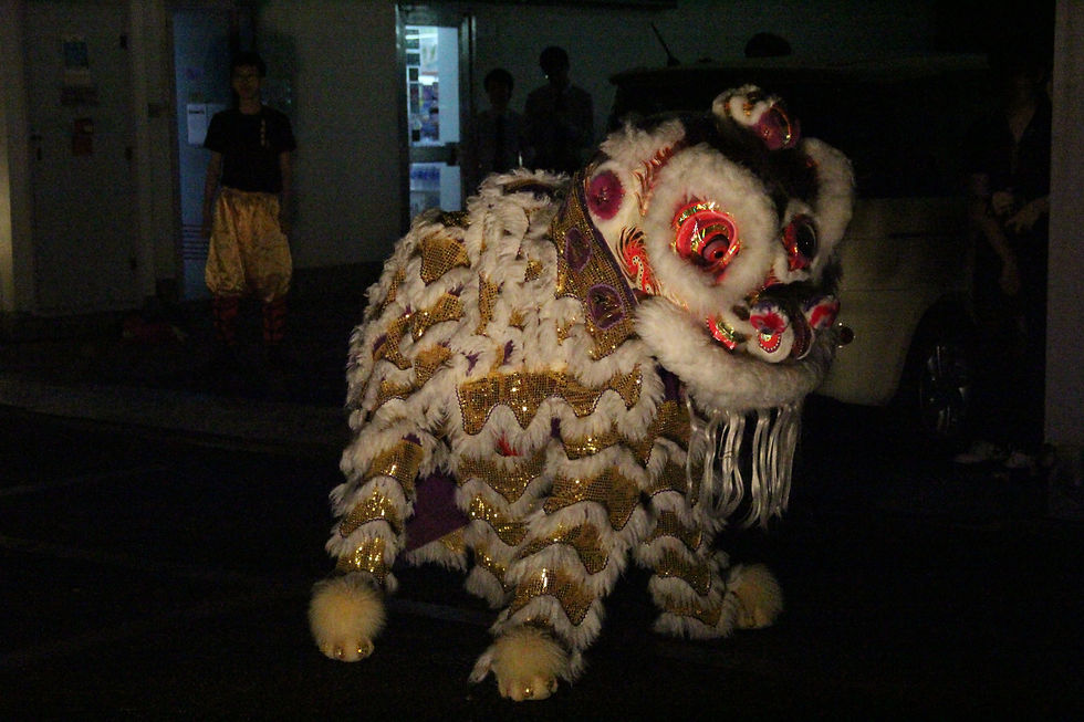 Lion Dancing Team