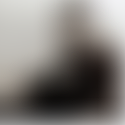 Richmond's Fighting Editor: John H. Mitchell