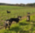 20260110_125236.jpg