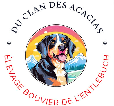 logo elevage du clan des acacias bouvier de l'entlebuch