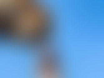 Wat zijn etherische oliën