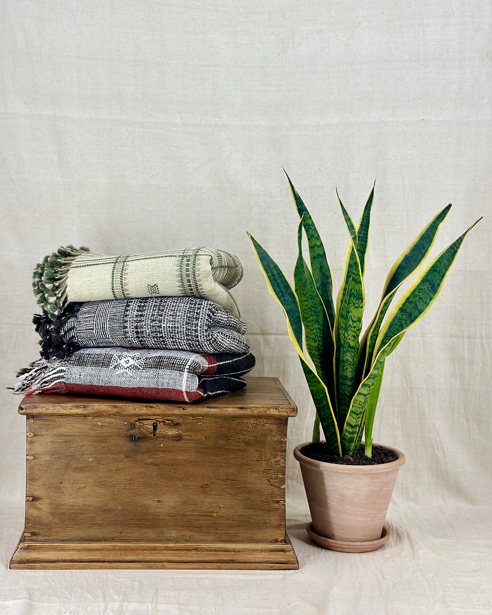 Thumbnail: Large Desi wool blanket
