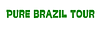 Logo Pure Brazil Tour.png