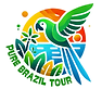 Logo Pure Brazil Tour (1).png