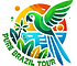 Logo Pure Brazil Tour (1).png