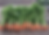 Screen Shot 2023-02-21 at 12.02.19 PM.png