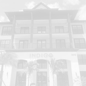 Indigo Stuart_01_edited.jpg