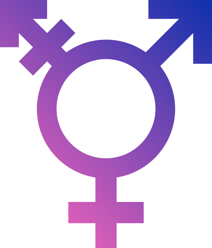 Reforming the Gender Recognition Act 2004