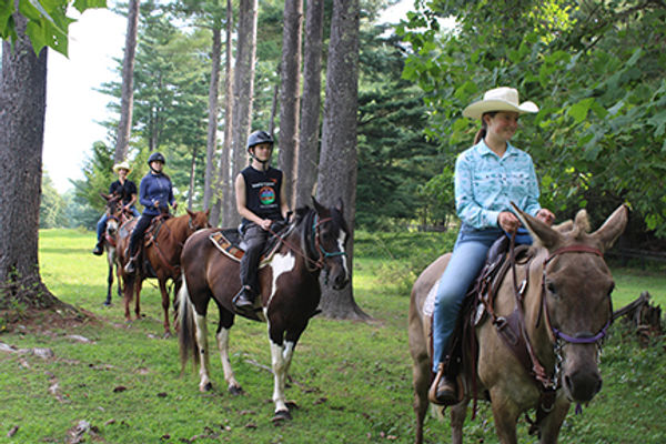 trailrides.jpg