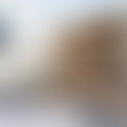 Sakarya 2026 kaba inşaat maliyeti ve m² fiyatları