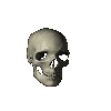 Spinning Skull.gif