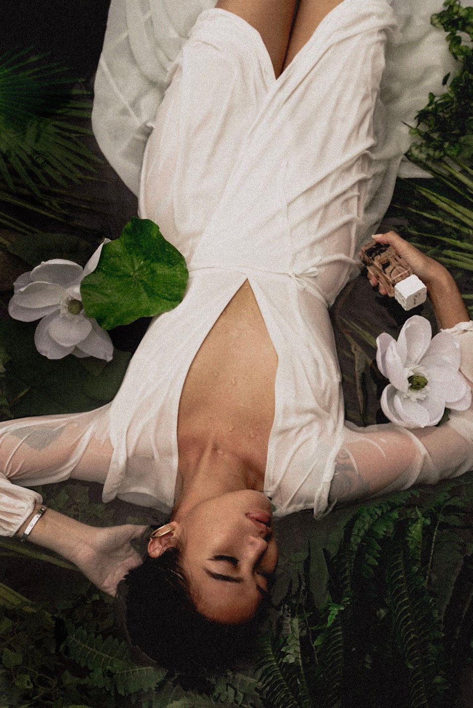 Lise Watier