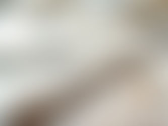 Bed bug infestation visible on mattress seams and white sheets with dark fecal spots