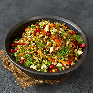 Sprouted Protein Mix