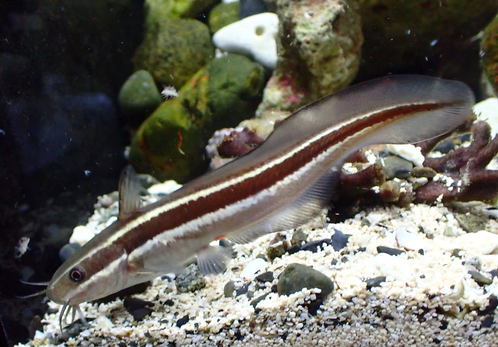 P9222980_edited.jpg