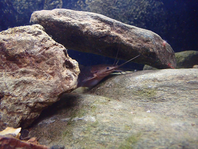 P9222995.JPG