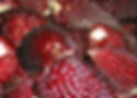 Organic Red Heirloom Popcorn Non GMO