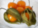Organic Dried Goldenberries