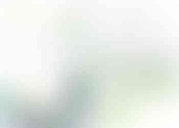 france reportage spread 2