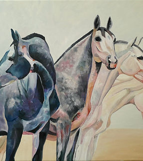 WhatsApp Image 2026-01-20 at 13.54.53.jpeg