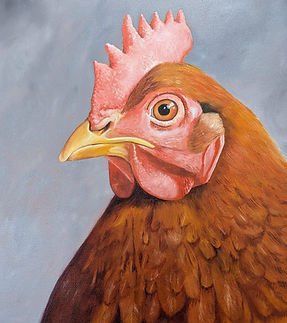 WhatsApp Image 2026-01-20 at 13.53.57.jpeg