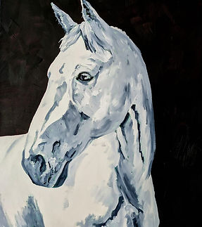 WhatsApp Image 2026-01-20 at 13.54.50.jpeg