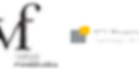 vf ayv.png