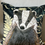 Thumbnail: Badger Wild Wood Cushion