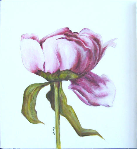 35-_Travaux  Dany -Fleurs 993x1074