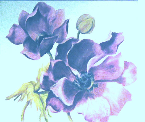44-_Travaux  Dany -Fleurs 927x786