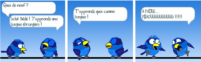 image (1).png