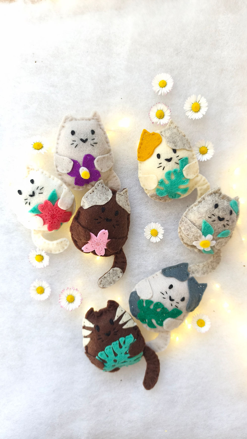 Miniature : Cha-Malo le chat taille S