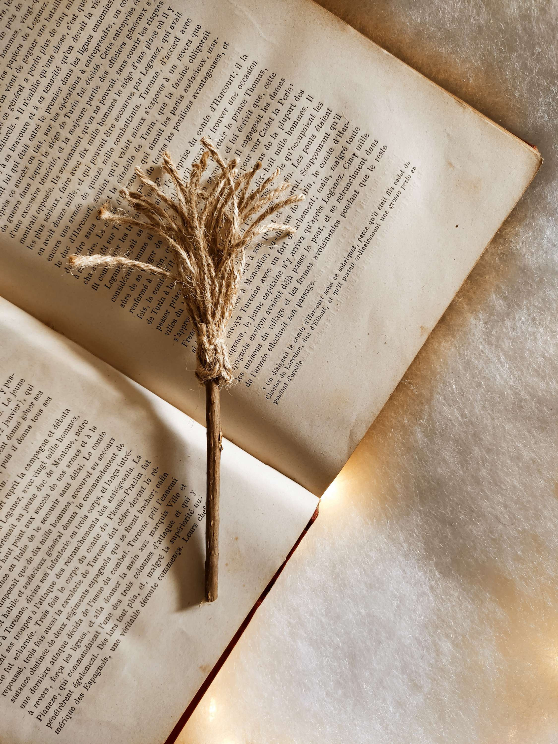 Bâton de Matatabi balais 