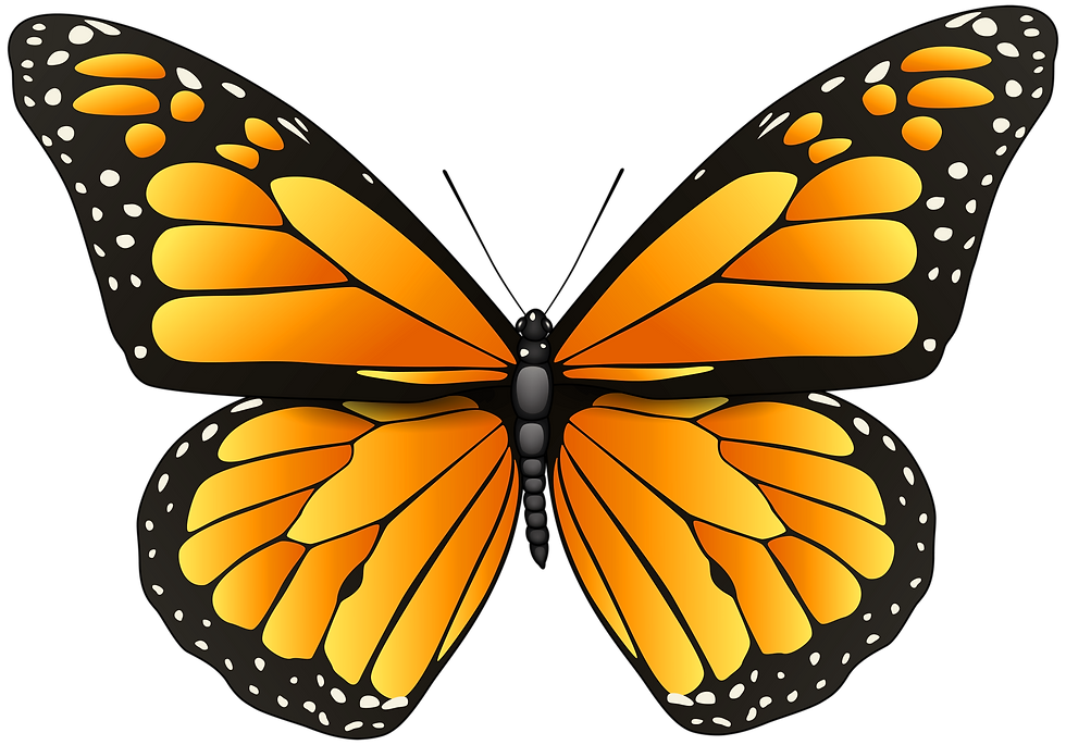 Monarch Min.png