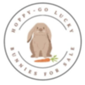 logo.jpg