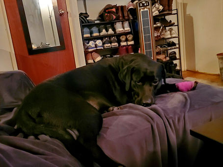 Thursday, February 1st