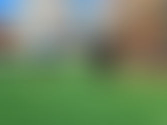 Friday, January 15th Outdoor Class