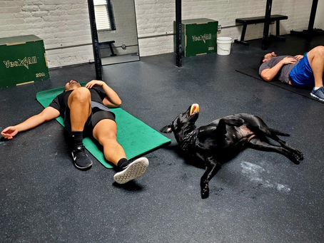 Thursday, January 19th