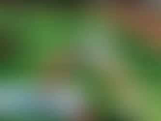 Wednesday, May 20th Outdoor Class