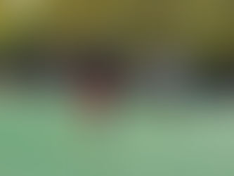 Friday, November 6th Outdoor Class