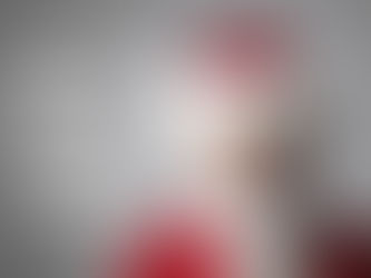 Holiday Shipping Guidelines